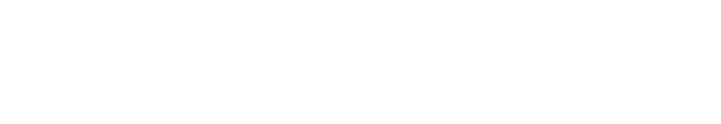 BFNL Logo